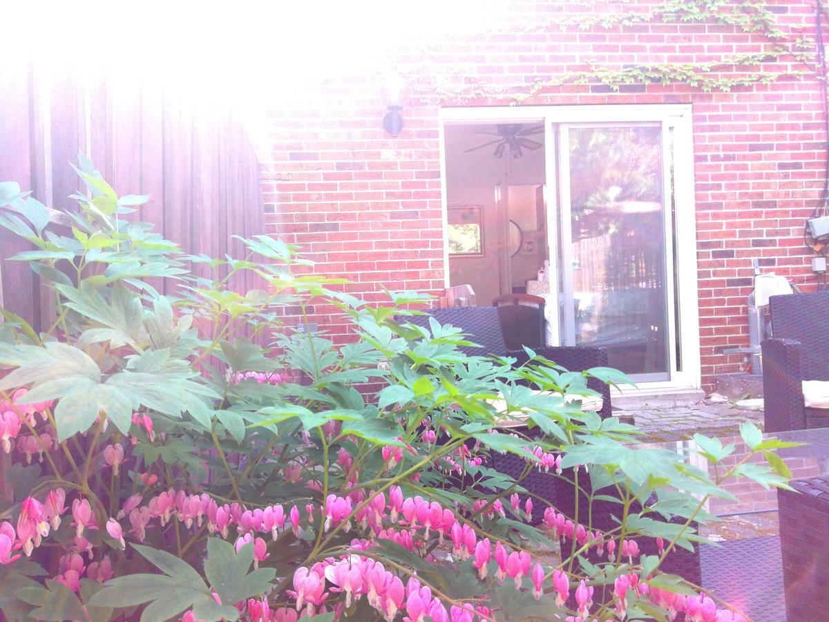 Margie Townhome Suites Toronto Buitenkant foto